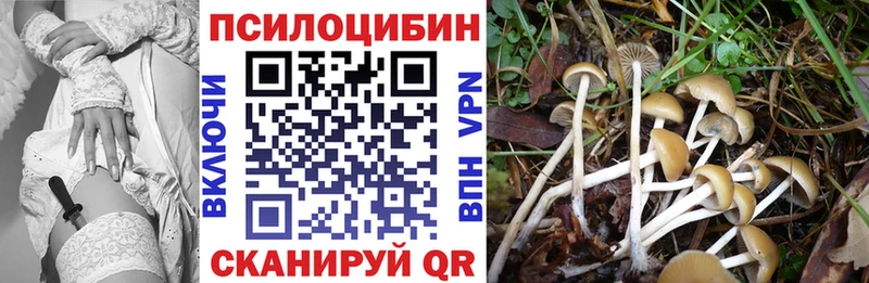 Псилоцибиновые грибы Magic Shrooms  KRAKEN как войти  Безенчук 